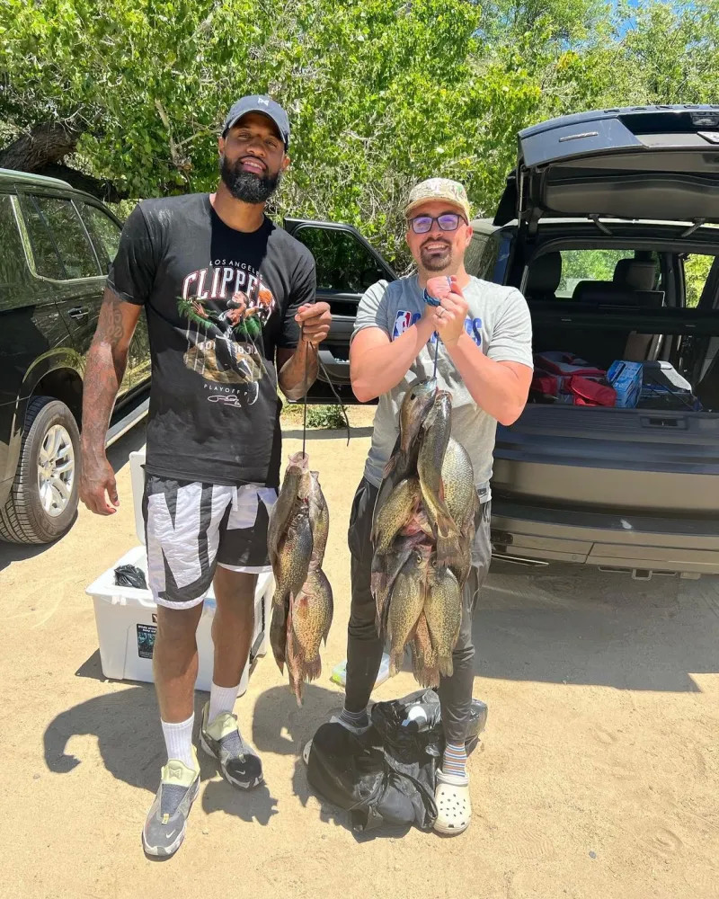 还提升了整 还提升了整