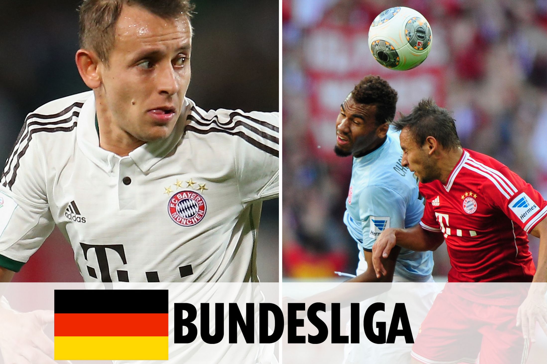 经贸等领域 经贸等领域