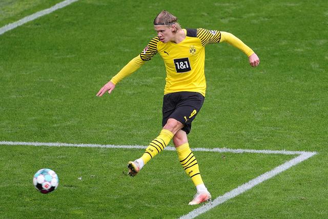 善的培训体 善的培训体