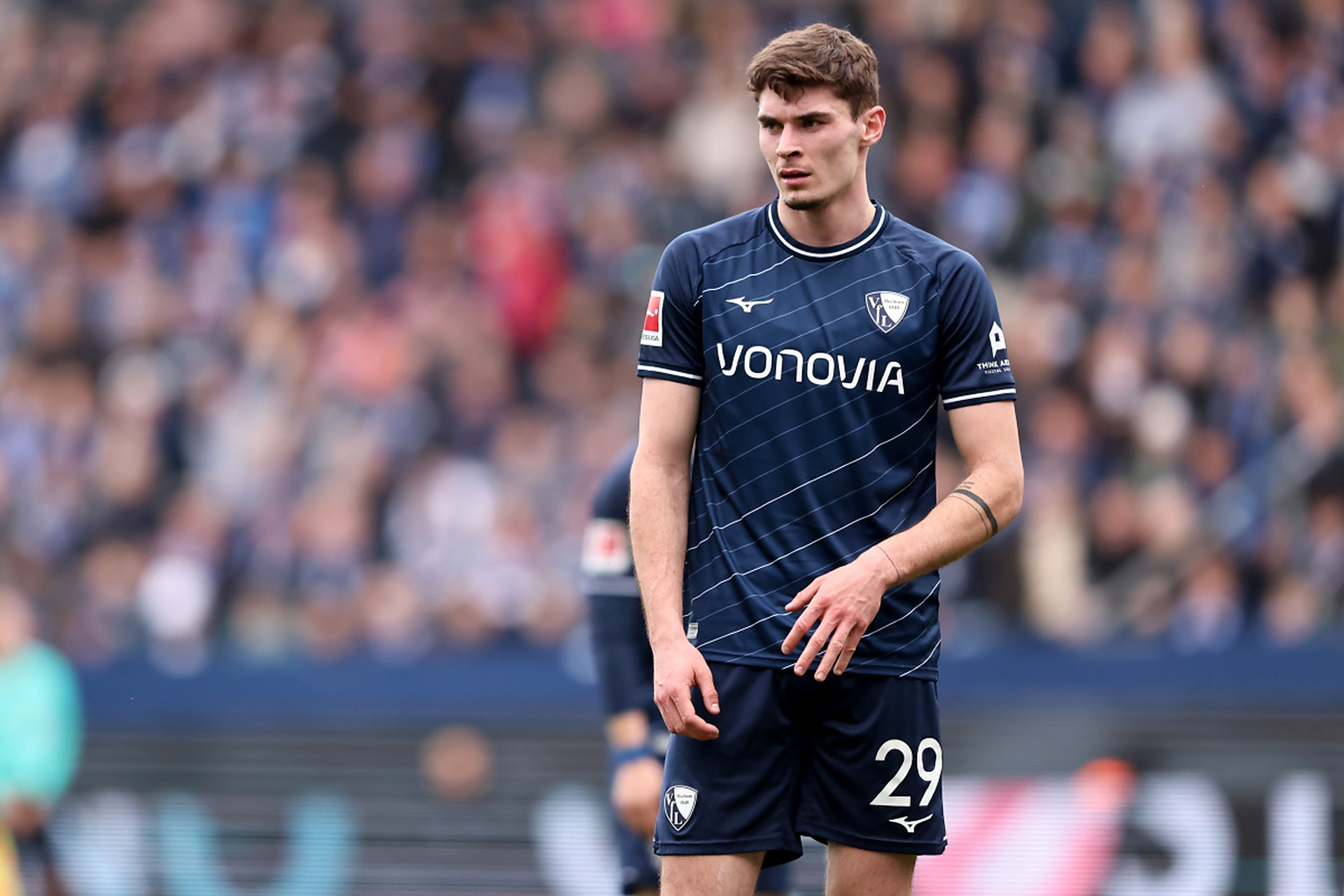 近年来我们 近年来我们