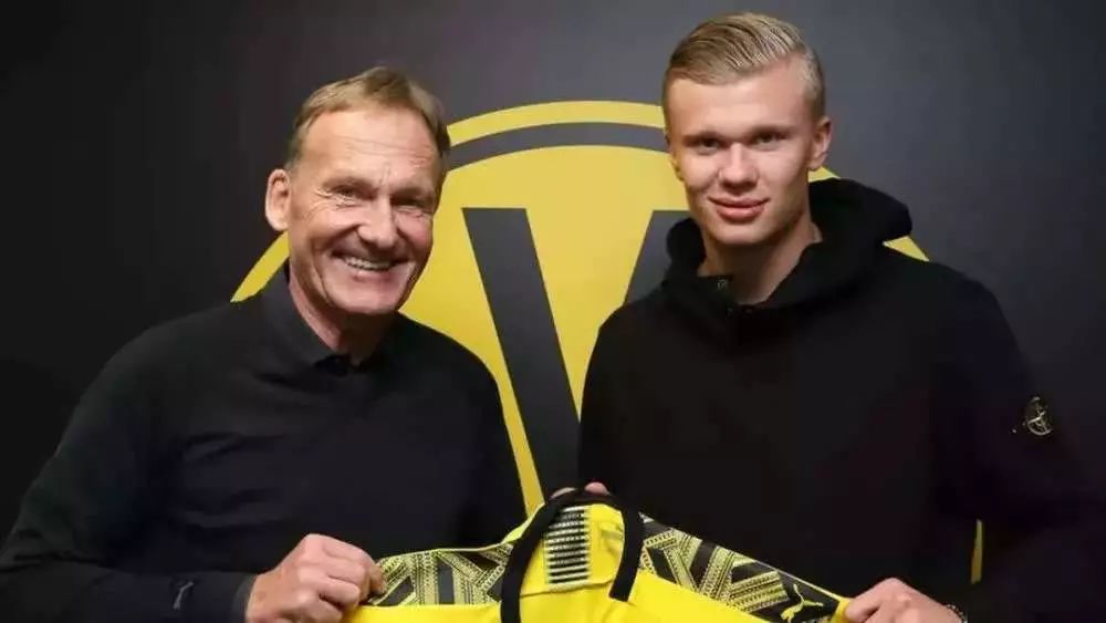 的戏剧闭环 的戏剧闭环